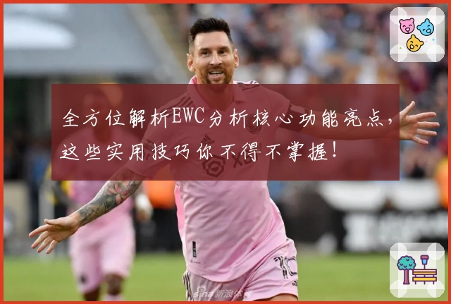 全方位解析EWC分析核心功能亮点，这些实用技巧你不得不掌握！