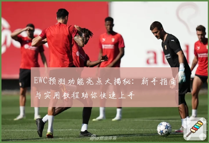 EWC预测功能亮点大揭秘：新手指南与实用教程助你快速上手
