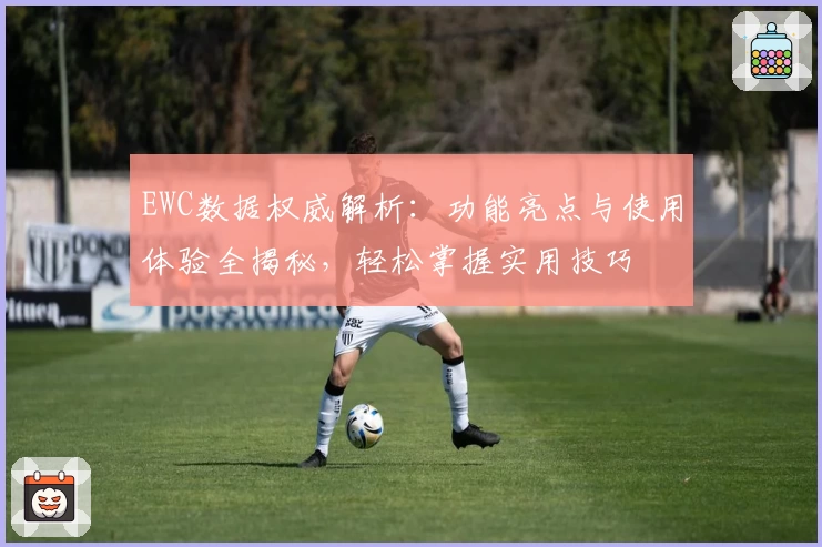 EWC数据权威解析：功能亮点与使用体验全揭秘，轻松掌握实用技巧