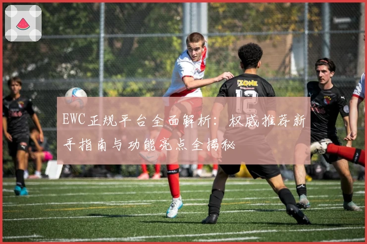 EWC正规平台全面解析：权威推荐新手指南与功能亮点全揭秘